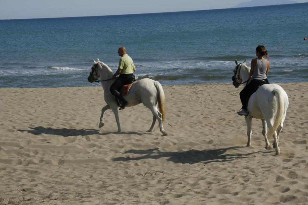 Camping Maremma Sans Souci Ξενοδοχείο Castiglione della Pescaia Εξωτερικό φωτογραφία